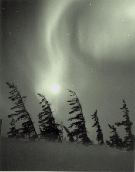 Aurora B-2 larger image